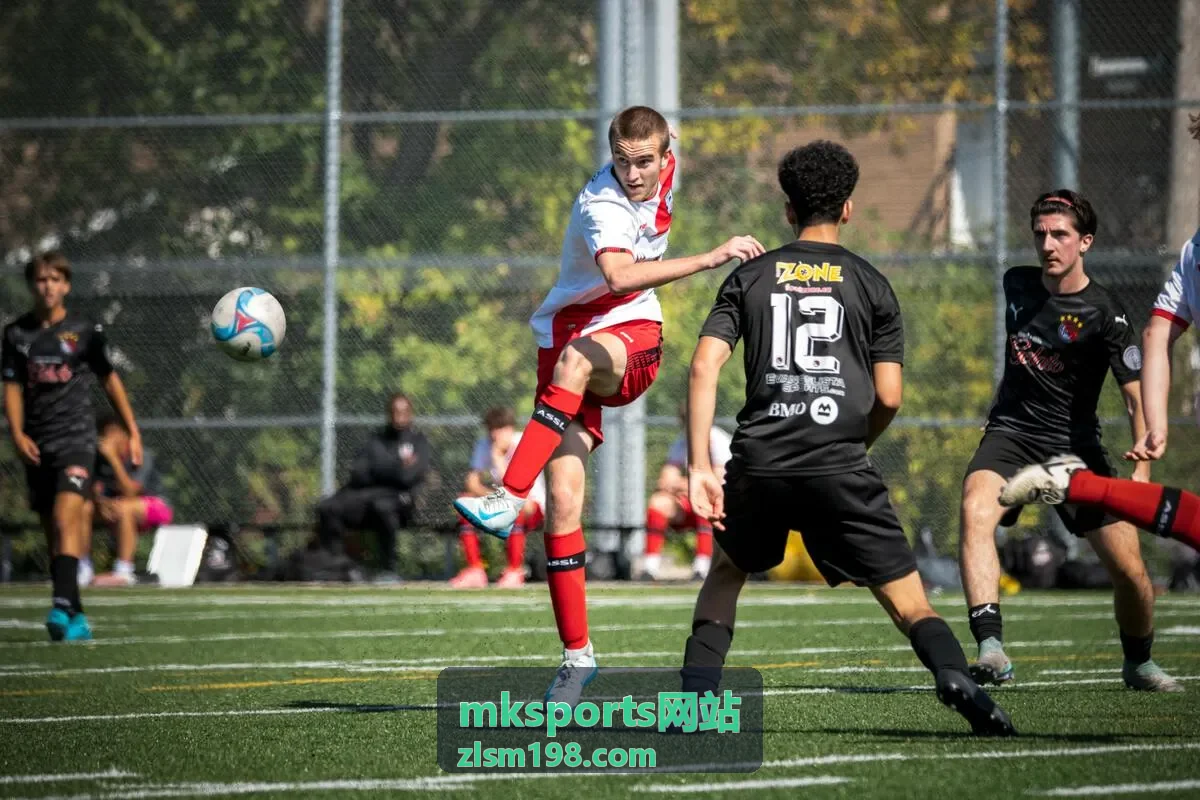 mksports网站安装教程步骤配图
